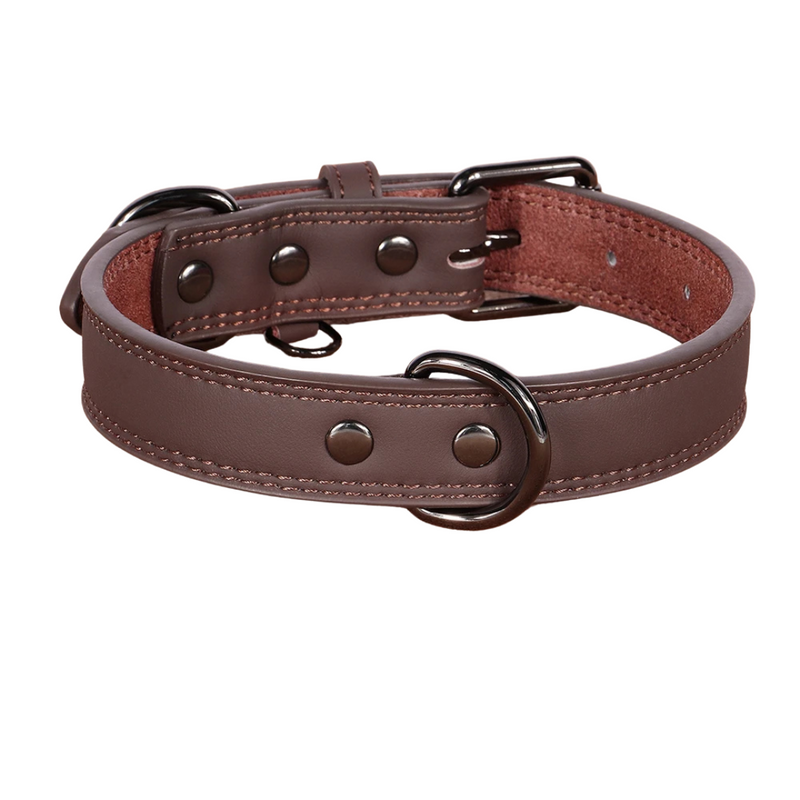 Paw Lux Collar