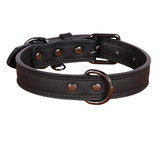 Paw Lux Collar