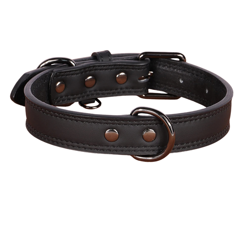 Paw Lux Collar