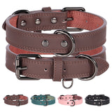 Paw Lux Collar
