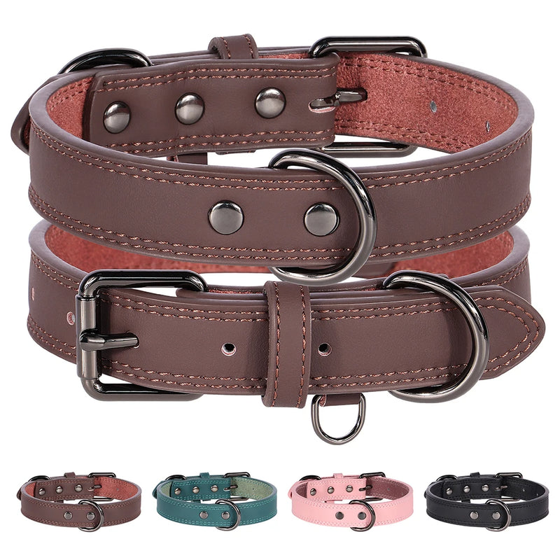 Paw Lux Collar