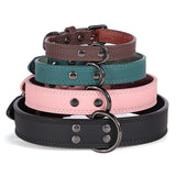 Paw Lux Collar