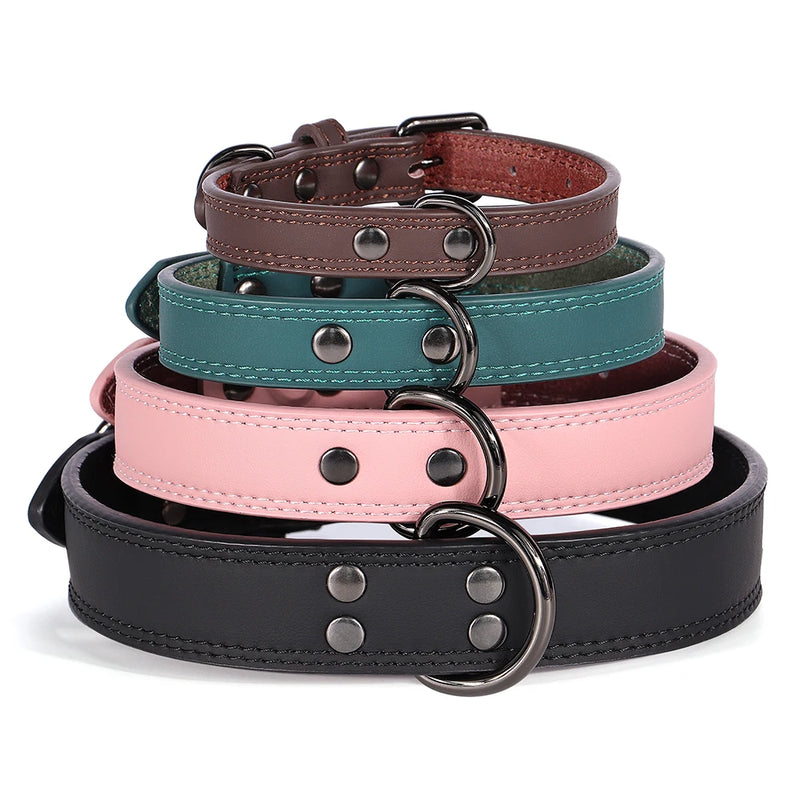 Paw Lux Collar