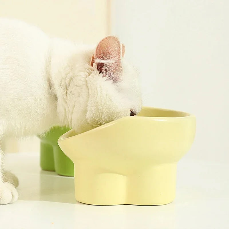 Funky Feeder Bowl
